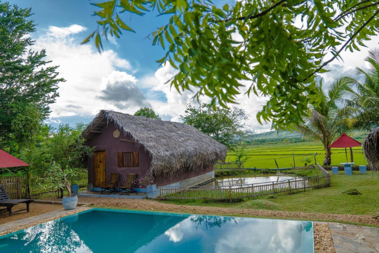 Villa Gaga Bees Yala Tissamaharama Exterior foto
