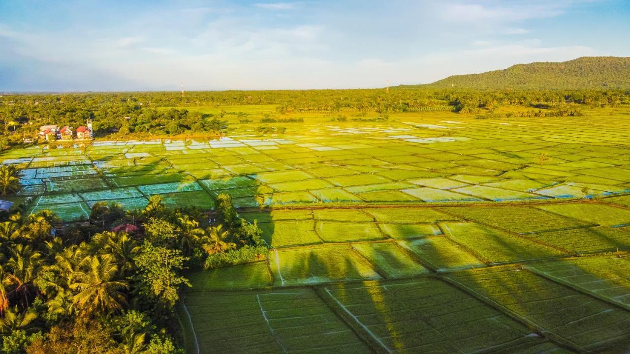 Villa Gaga Bees Yala Tissamaharama Exterior foto