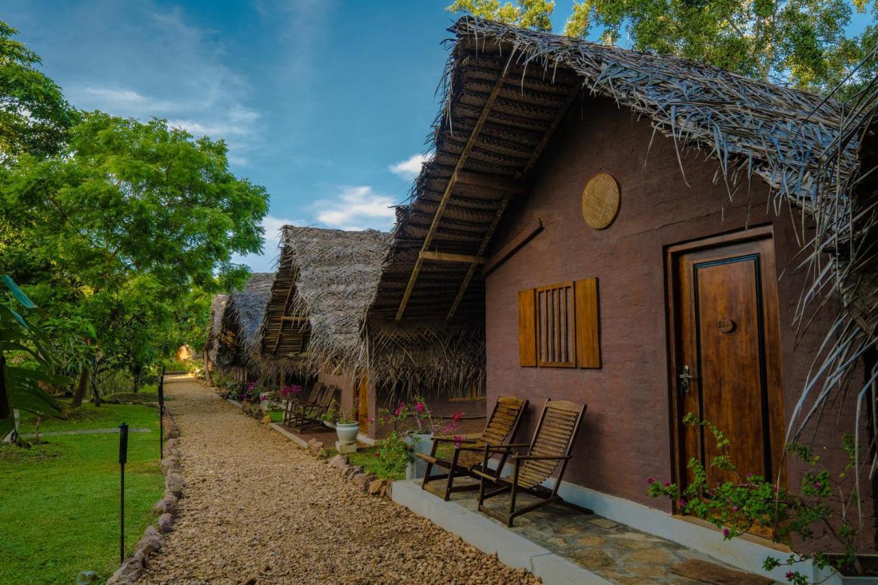 Villa Gaga Bees Yala Tissamaharama Exterior foto