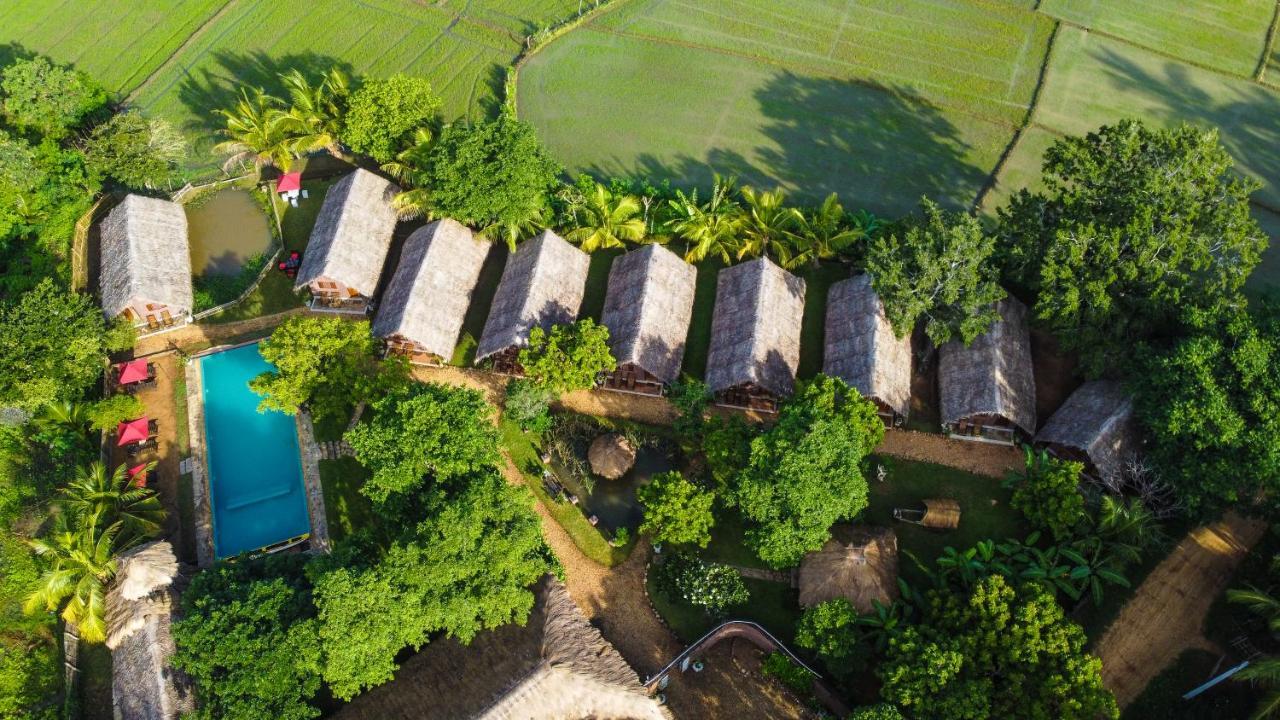 Villa Gaga Bees Yala Tissamaharama Exterior foto