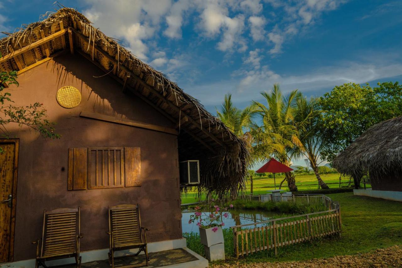 Villa Gaga Bees Yala Tissamaharama Exterior foto
